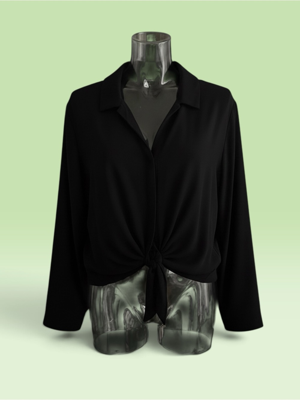 Express Editor Long-Sleeve Button Down, Tie-Front Blouse in Black
